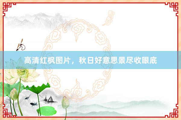 高清红枫图片,秋日好意思景尽收眼底